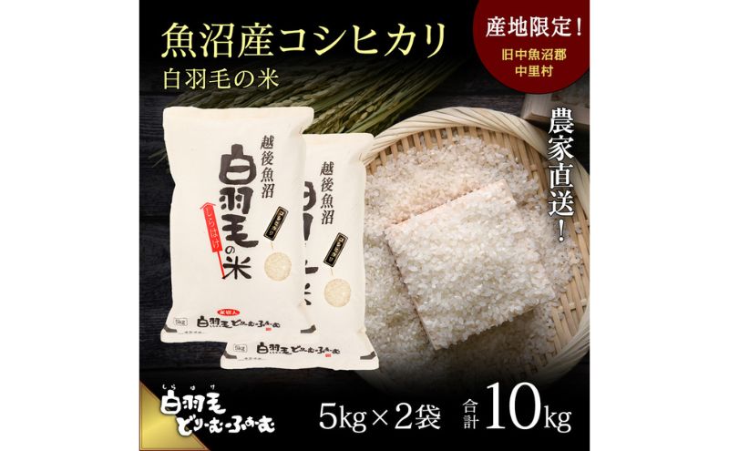 【通年受付】≪令和6年産≫　農家直送！魚沼産コシヒカリ「白羽毛の米」精米 (5kg×2袋) 10kg