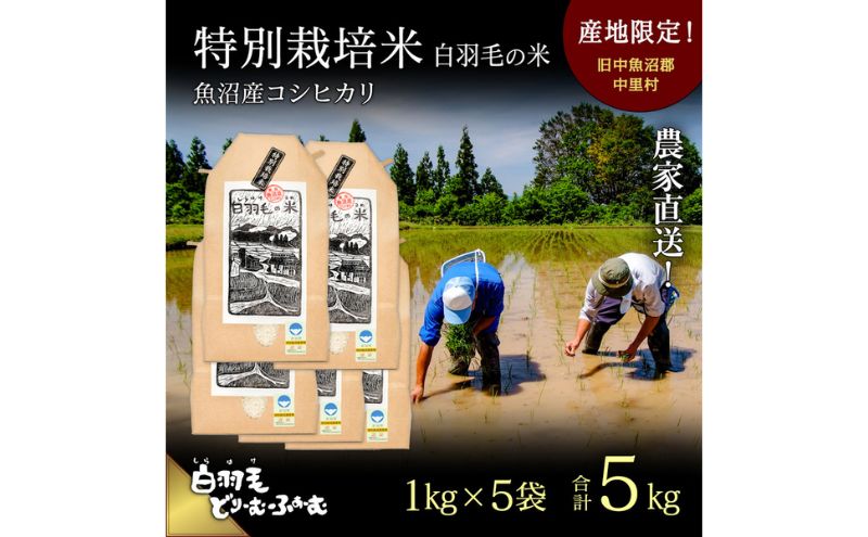 【通年受付】≪令和5年産≫　農家直送！魚沼産コシヒカリ特別栽培「白羽毛の米」精米 (1kg×5袋) 5kg