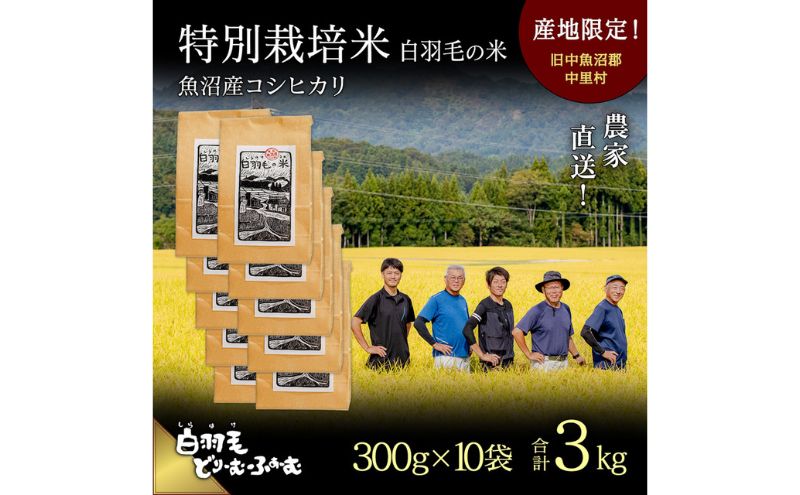 【通年受付】≪令和6年産≫　農家直送！魚沼産コシヒカリ特別栽培「白羽毛の米」精米 (300g×10袋) 3kg