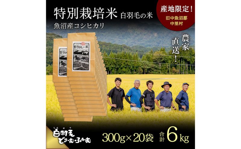 【通年受付】≪令和6年産≫　農家直送！魚沼産コシヒカリ特別栽培「白羽毛の米」精米 (300g×20袋) 6kg