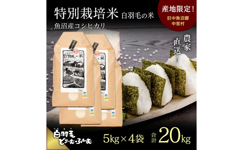 【通年受付】≪令和5年産≫　農家直送！魚沼産コシヒカリ特別栽培「白羽毛の米」精米(5kg×4袋) 20kg