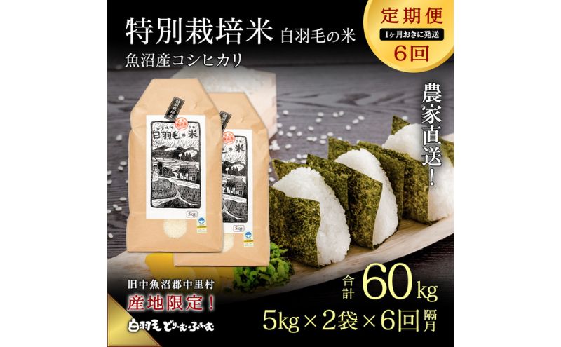 【通年受付】≪令和5年産≫【定期便／1ヶ月おき全6回】農家直送！魚沼産コシヒカリ特別栽培「白羽毛の米」精米(5kg×2袋)×6回 60kg