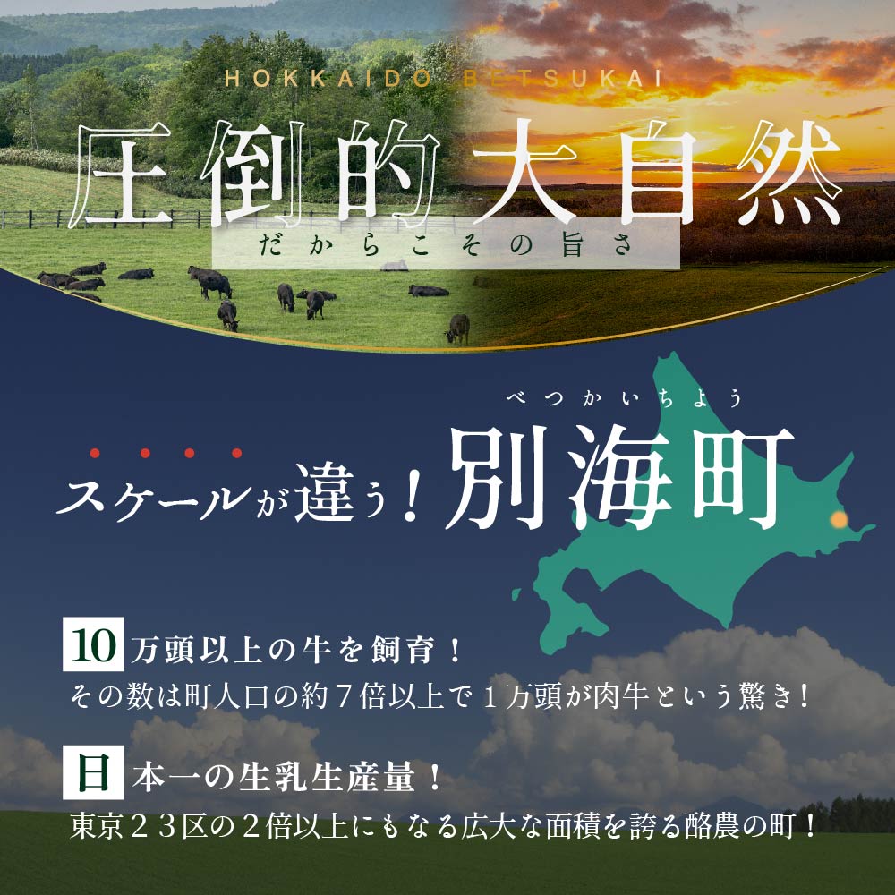 北海道別海町のふるさと納税 別海牛 使用 ファーストクラスミニハンバーグ 50g×24個 3種のソース