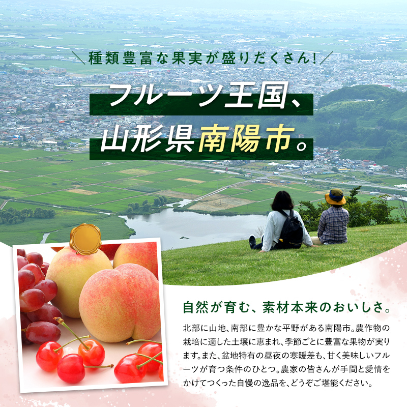 山形県南陽市のふるさと納税 【令和6年産先行予約】 大粒ぶどう4種食べ比べセット おまかせ4房 《令和6年9月上旬～発送》 『うえ木ぶどう園』 ぶどう 果物 フルーツ デザート 食べ比べ 山形県 南陽市 [675]