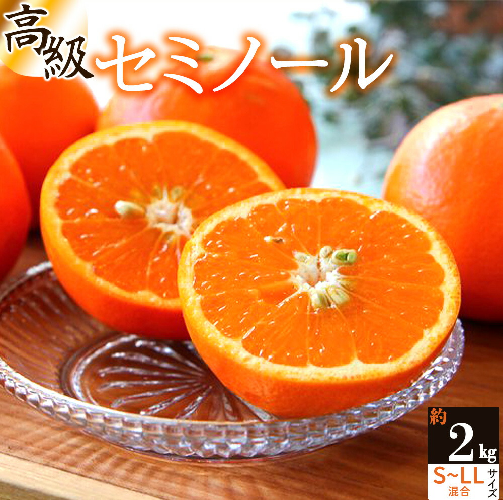 ZS6157_主井農園 高級 セミノール 2kg サイズ混合 | 和歌山県 ZS6157_主井農園 高級 セミノール 2kg サイズ混合 | 和歌山県
