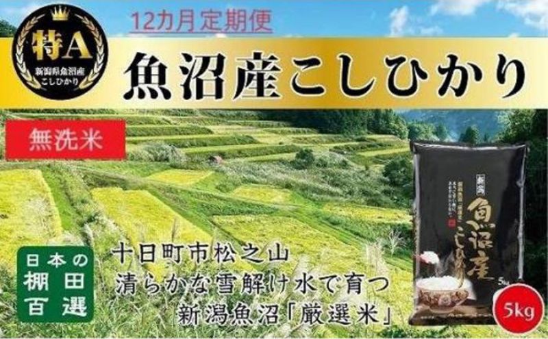 無洗米「12カ月定期便」日本棚田百選のお米　天空の里・魚沼産こしひかり　５ｋｇ×１２回