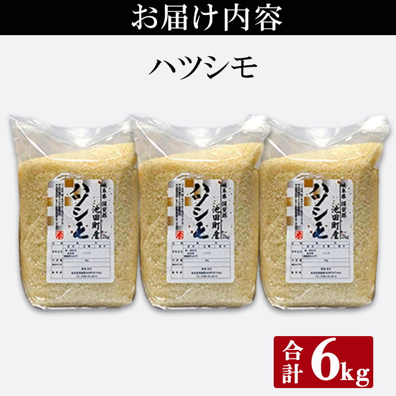 米 6kg (2kg×3袋) ハツシモ 池田町産 8分づき セット 分つき精米 お米 おこめ こめ コメ ごはん ご飯 有機肥料 減農薬栽培 はつしも  岐阜県|野原農園