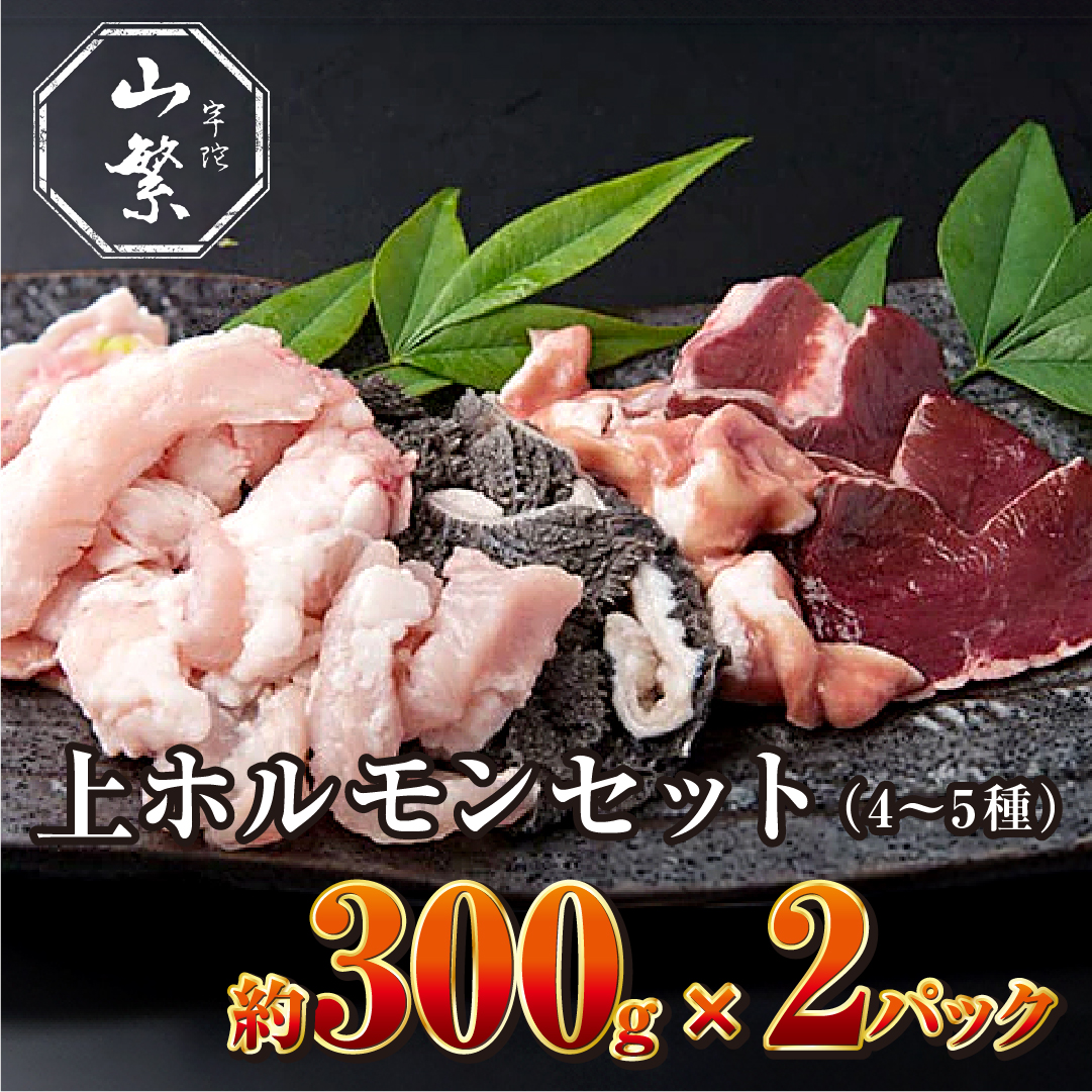 冷凍)宇陀牛 黒毛和牛 上ホルモンセット（4～5種） 約300g×2パック