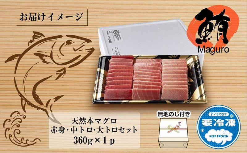 無地熨斗 天然 本マグロ 刺身セット 360g 赤身 中トロ 大トロ 三種 盛り合わせ 鮪 冷凍 まぐろ 手巻き寿司 お取り寄せ グルメ 熨斗 のし  名入れ不可 送料無料 山崎食品 新潟県 十日町市（新潟県十日町市） | ふるさと納税サイト「ふるさとプレミアム」