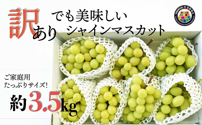 SDGs山梨県産シャインマスカット 3.5kg相当[訳アリ][ご家庭用] 人気 おすすめ 国産 お取り寄せ 山梨県産 産地直送 フルーツ 果物 くだもの ぶどう ブドウ 葡萄 シャイン シャインマスカット 新鮮 AD-272