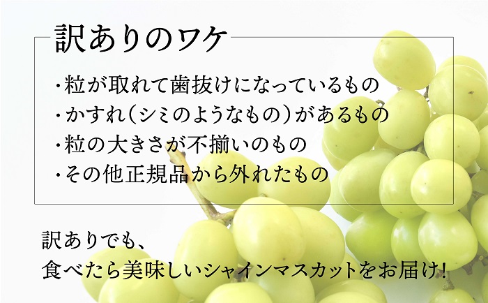 【先行予約2024年/令和6年発送分】SDGs山梨県産シャインマスカット　3.5kg相当【訳アリ】【ご家庭用】　人気　おすすめ　国産　お取り寄せ　　 山梨県産　産地直送　フルーツ　果物　くだもの　ぶどう　ブドウ　葡萄　シャイン　シャインマスカット　新鮮