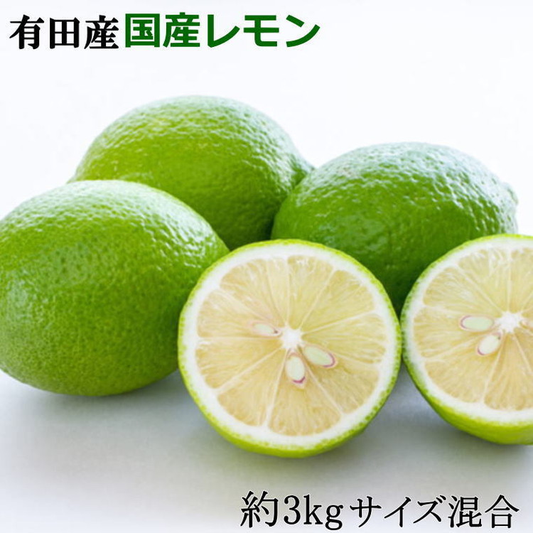 有田産の安心国産レモン約3kg（サイズ混合） ※2024年10月中旬～2025年3月下旬頃に順次発送予定