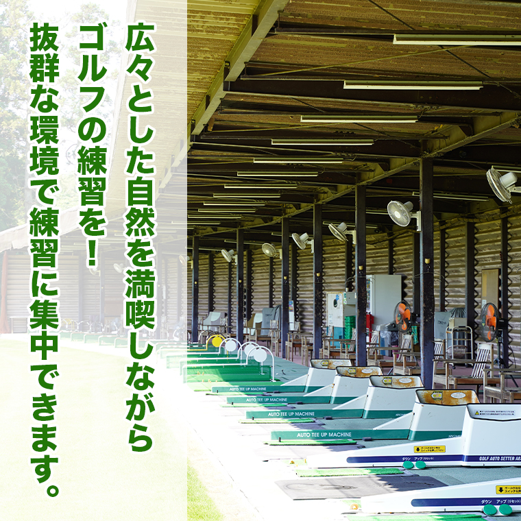 ゴルフ練習場回数券 5回券（250球） メンバー用 イベントやチケット ゴルフ場利用券 打ちっぱなし 回数券 アウトドア メンバー  [CD001ya]|ナインズゴルフクラブ