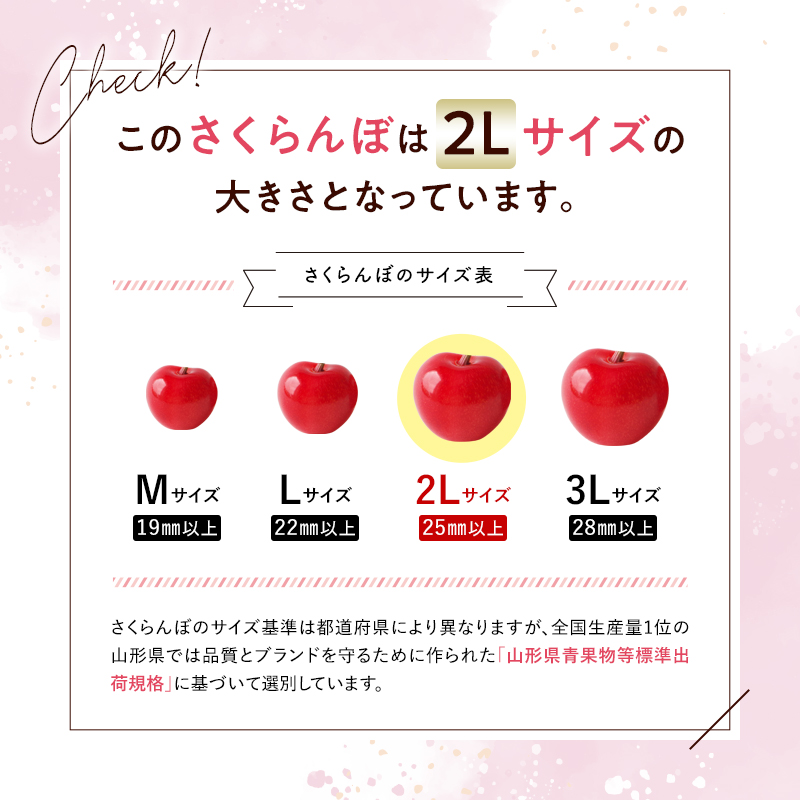 山形県南陽市のふるさと納税 【令和7年産先行予約】 さくらんぼ 「紅秀峰」 約500g (特秀 2L) 《令和7年6月下旬～発送》 『マルエ青果』 先行予約 サクランボ 果物 フルーツ 山形県 南陽市 [1406]
