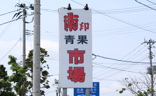 山形県南陽市のふるさと納税 【令和7年産先行予約】 さくらんぼ 「佐藤錦または紅秀峰」 400g (200g×2パック 秀 L以上) 《令和7年6月上旬～発送》 『南陽中央青果市場』 小分け サクランボ 果物 フルーツ 山形県 南陽市 [1475]