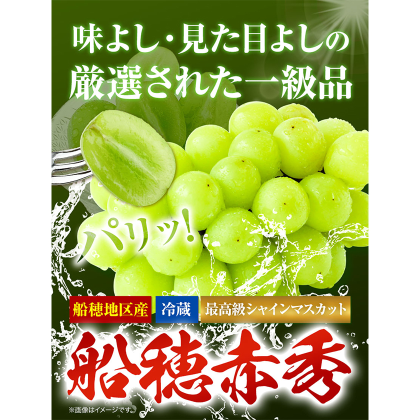 最高級 シャインマスカット [2025年先行予約] ぶどう 船穂赤秀 2房 1.25kg 岡山県産《9月上旬-11月中旬頃出荷(土日祝除く)》  ハレノフルーツ マスカット 送料無料 岡山県 浅口市 フルーツ 果物 贈り物 ギフト 国産 岡山県産【配送不可地域あり】 / 岡山県浅口市 | セゾン  ...