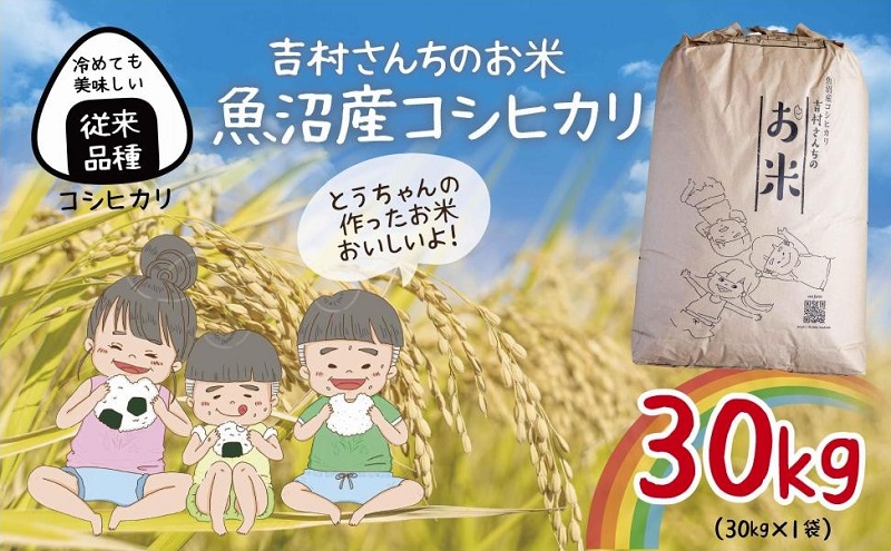 ｜従来品種｜ 魚沼産 コシヒカリ 30kg 米 こしひかり お米 コメ 新潟 魚沼 魚沼産 白米 送料無料 新潟県産 精米 産直 農家直送 お取り寄せ 吉村さんちのお米 新潟県 十日町市