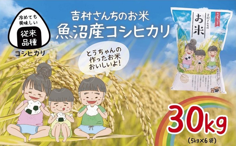 従来品種｜ 魚沼産 コシヒカリ 5kg ×6袋 計30kg 米 こしひかり お米 コメ 新潟 魚沼 魚沼産 白米 送料無料 新潟県産 精米 産直  農家直送 お取り寄せ 吉村さんちのお米 新潟県 十日町市（新潟県十日町市） | ふるさと納税サイト「ふるさとプレミアム」