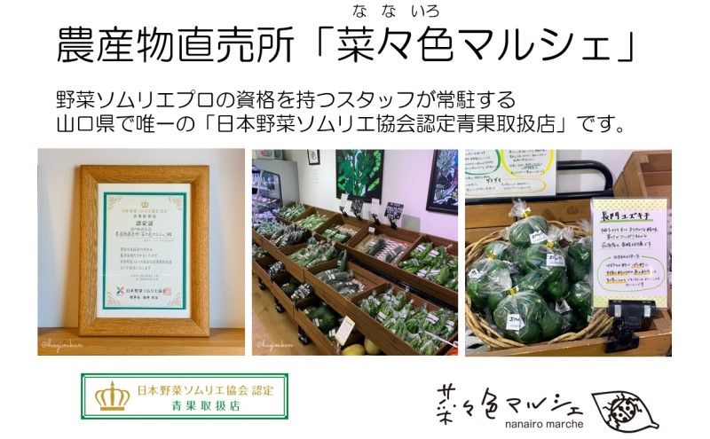 山口県萩市のふるさと納税 【萩往還ギフトシリーズvol.3】萩の５酒蔵飲み比べセット