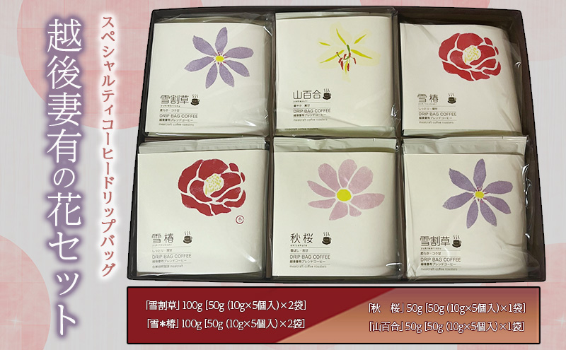 yV\szXyVeBR[q[hbvobOuzȗL̉ԁvZbg [DB6]  hbvR[q[ hbvobN  V