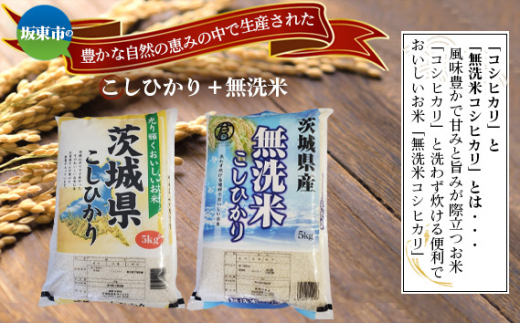 茨城県坂東市のふるさと納税 No.668 こしひかり（5kg）＋無洗米（5kg） ／ コシヒカリ お米 こめ 茨城県