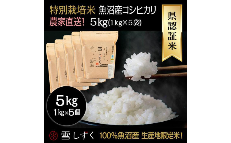 令和6年産！県認証特別栽培魚沼産コシヒカリ【農家直送！】 5kg(1kg×5袋)