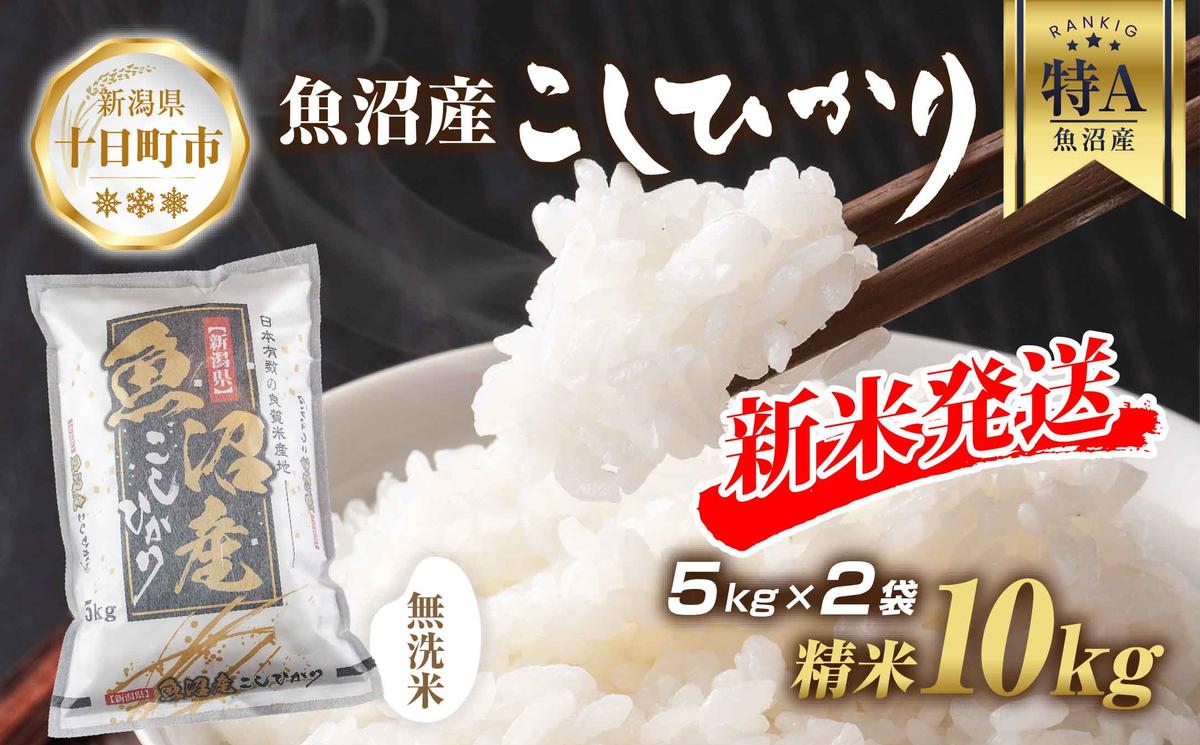 【令和6年産 新米予約】 無洗米 魚沼産 コシヒカリ 5kg × 2袋 計10kg 新米 農家のこだわり 新潟県 十日町市 お米 こめ 白米 コメ 食品 人気 おすすめ 送料無料