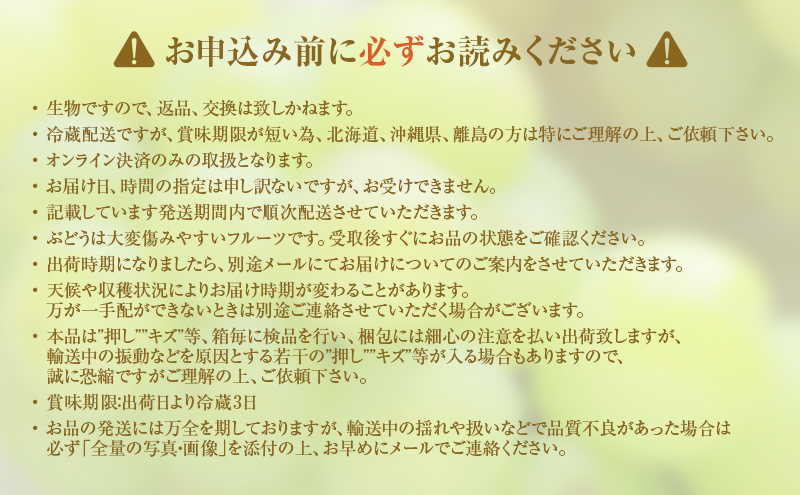 岡山県高梁市のふるさと納税 2025年 先行予約 瀬戸ジャイアンツ 2房 合計約1kg 冷蔵配送 ぶどう 葡萄 フルーツ 果物 岡山