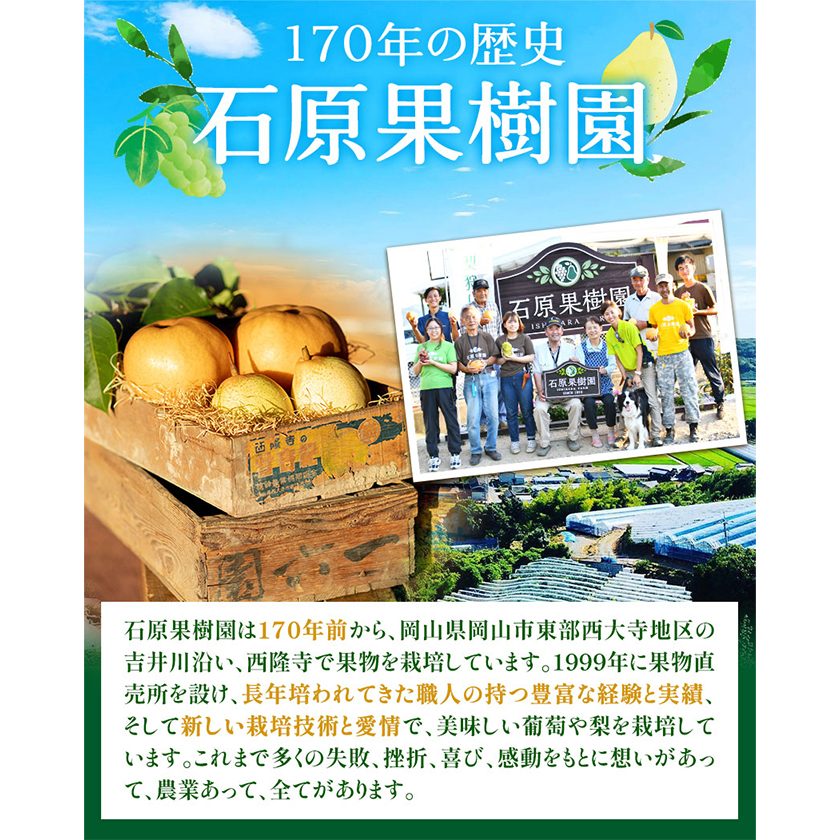 岡山県浅口市のふるさと納税 あたご梨2～3玉 ヤーリー3～6玉 家庭用詰め合わせ4kg箱 石原果樹園 《11月下旬-12月中旬頃より出荷予定(土日祝除く)》岡山県 浅口市 梨 なし 果物 フルーツ くだもの あたご