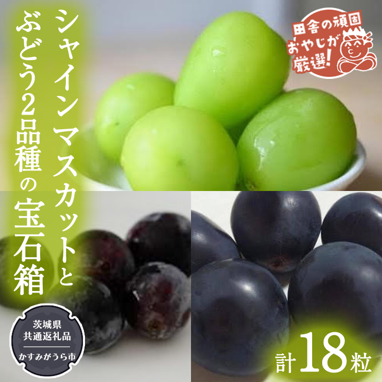 粒々ぶどう18粒」 シャインマスカット と ぶどう 2品種の宝石箱