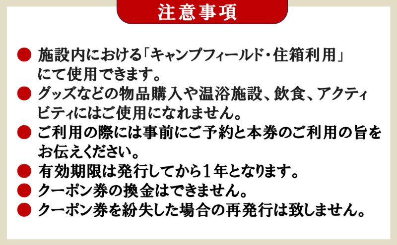 栃木県鹿沼市のふるさと納税 スノーピーク鹿沼で使える 施設利用券 5,000円相当 クーポン チケット snowpeak キャンプ キャンプ場 アウトドア 鹿沼市