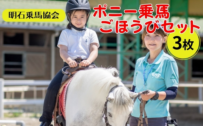 乗馬セット 乗馬セット （Mr.Z x MULTIFUN 1/6 女性騎手 & 乗馬 アウト