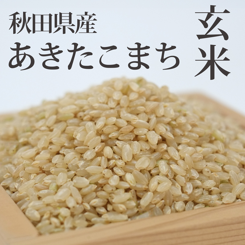 秋田県三種町のふるさと納税 《令和7年産 新米先行受付》《定期便8ヶ月》秋田県産 あきたこまち 10kg(10kg×1袋)×8回【玄米】計80kg 令和7年産