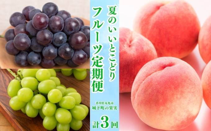 【香川県丸亀市】【全3回】フルーツ定期便「丸亀市夏のいいとこどり定期便」〜少人数でも楽しみやすい食べきり版〜/シャインマスカット 桃 ピオーネ 定期配送 頒布会 果実 果物