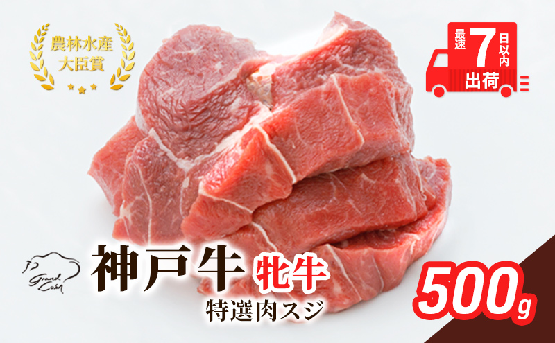  神戸ビーフ 神戸牛 牝 特選肉スジ（角切りカレー煮込み用） 500g 川岸畜産 煮込み おでん カレー 冷凍 肉 牛肉 すぐ届く 小分け