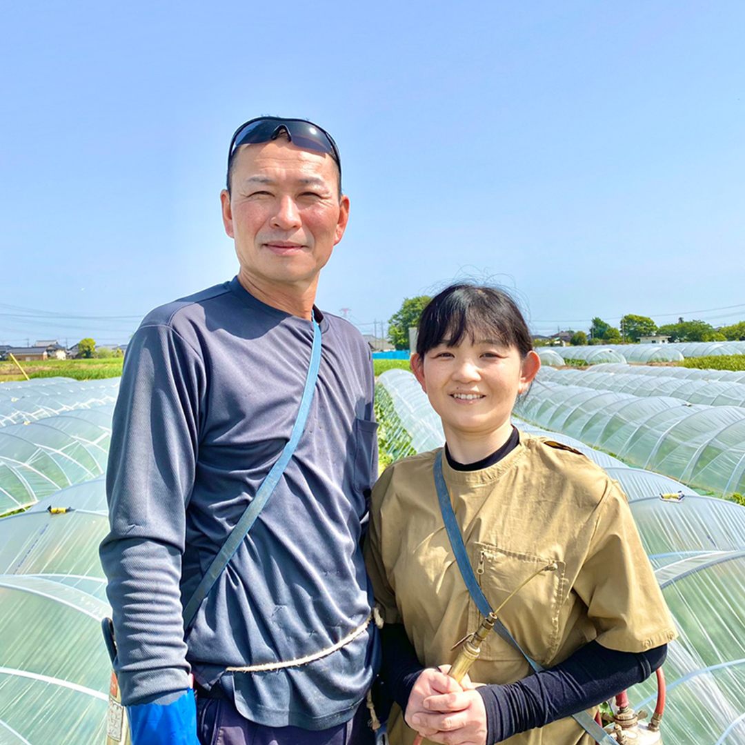 茨城県八千代町のふるさと納税 【先行予約 令和7年 6月下旬 以降発送 】 朝採り とうもろこし （ ゴールドラッシュ ） 約 6kg トウモロコシ スイートコーン コーン 野菜 産地直送 期間限定 極甘 岩田さん 昼めし旅 [AX019ya]