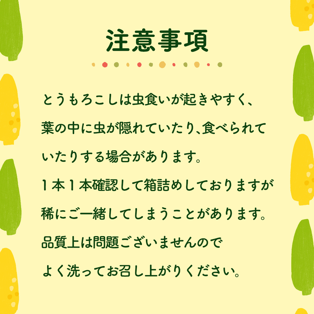 茨城県八千代町のふるさと納税 【先行予約 令和7年 6月下旬 以降発送 】 朝採り とうもろこし （ ゴールドラッシュ ） 約 6kg トウモロコシ スイートコーン コーン 野菜 産地直送 期間限定 極甘 岩田さん 昼めし旅 [AX019ya]