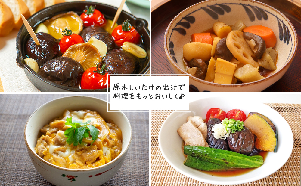宮崎県産 乾燥 椎茸 100g×1袋 チャック袋入 [ HUTTE 宮崎県 美郷町