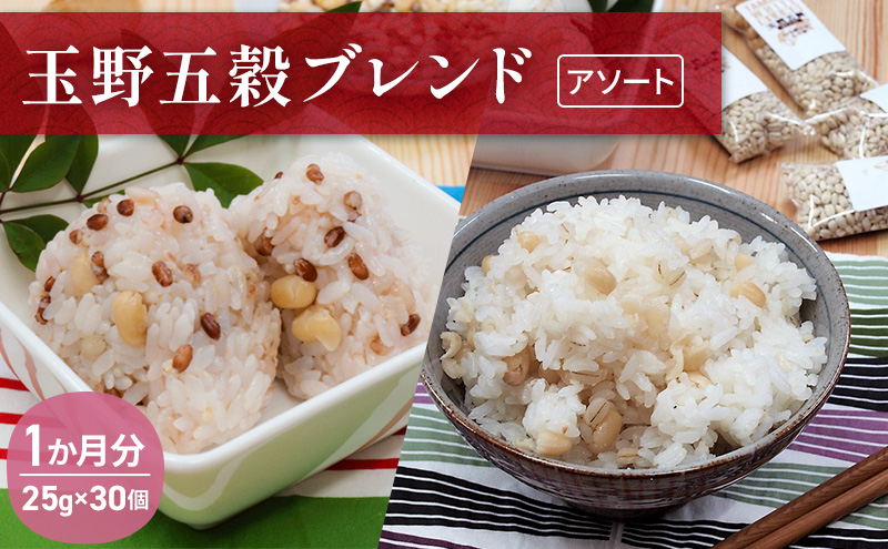 【岡山県玉野市】玉野五穀ブレンド「アソート」1か月分(30個入り) 雑穀 国産