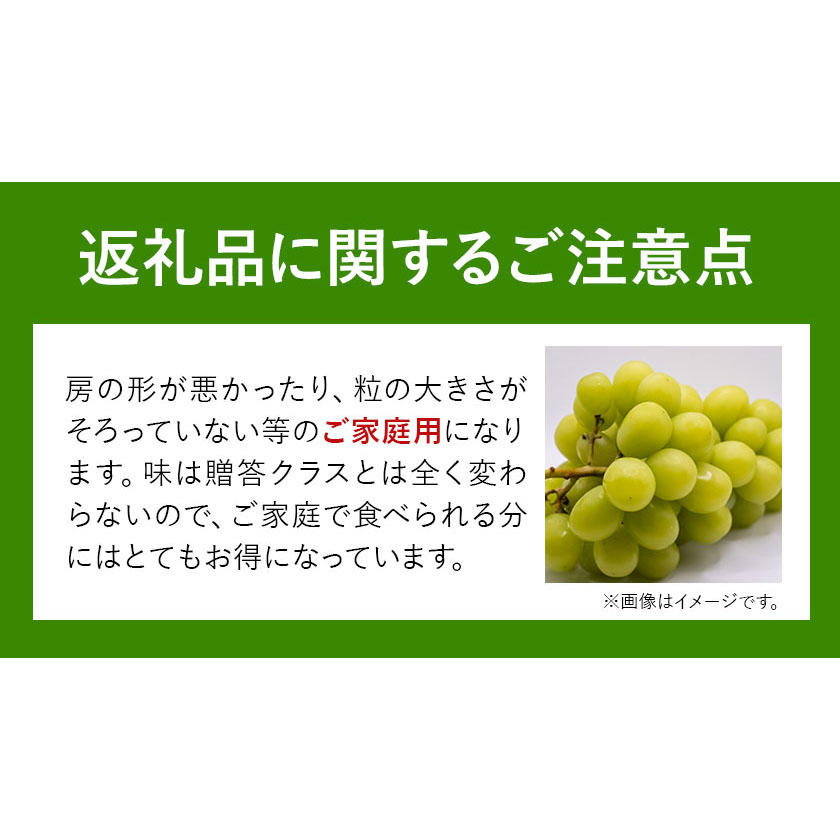 ご家庭用 シャイン マスカット 3～5房 (合計2kg以上)【配送不可地域あり】 OEC KINGDOMぶどう家 《8月下旬-10月中旬頃出荷》岡山県  浅口市 ぶどう 果物 / 岡山県浅口市 | セゾンのふるさと納税