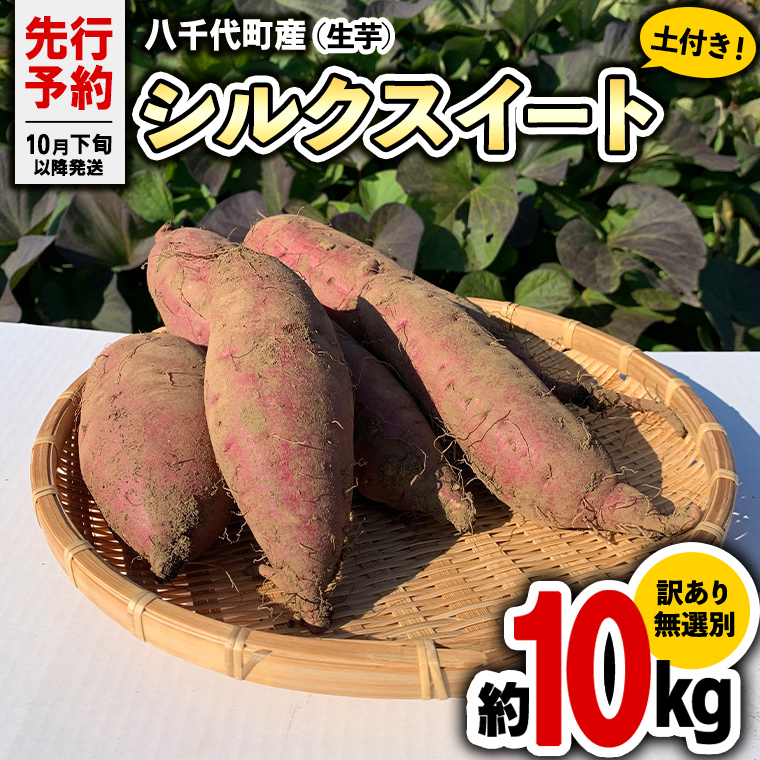 茨城県八千代町のふるさと納税  【 先行予約 2024年10月下旬以降発送 】訳あり 無選別 熟成 農家直送 八千代町産 シルクスイート 生芋 約 10kg 農家直送 熟成 イモ 芋 いも おやつ デザート 秋 [AX035ya]