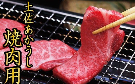 高知県田野町のふるさと納税 「土佐あかうし」焼肉用1kgと特製万能タレのセット