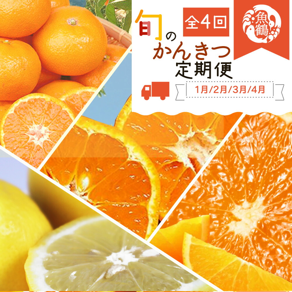 【和歌山県有田郡湯浅町】G60-T48_【定期便 全4回】紀州和歌山産旬の柑橘セット(みかん・ポンカン・レモン・清見)