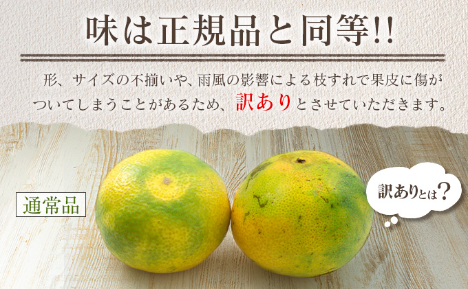 宮崎県日南市のふるさと納税 訳あり 数量限定 極早生 みかん ゆら早生 計10kg以上 期間限定 フルーツ 果物 くだもの 柑橘 ミカン 国産 食品 デザート おやつ 人気 スイーツ おすすめ ご家庭用 訳アリ ワケあり おすそ分け 新鮮 甘い 産地直送 宮崎県 日南市 送料無料_BV2-23