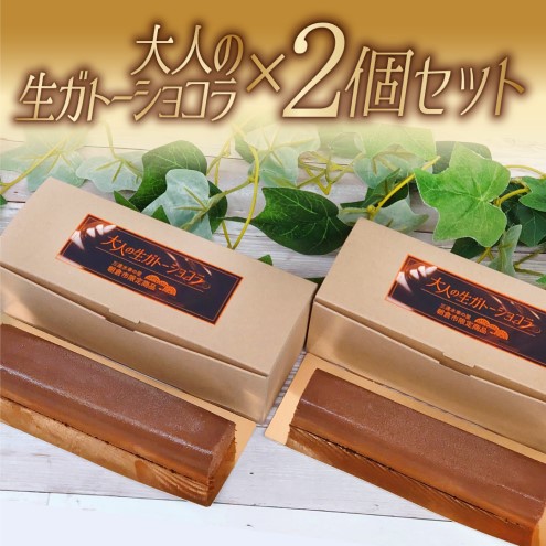 【福岡県朝倉市】ガトーショコラ 大人の生ガトーショコラ 2個 セット 洋菓子 ケーキ デザート テリーヌ チョコレート ※配送不可:離島