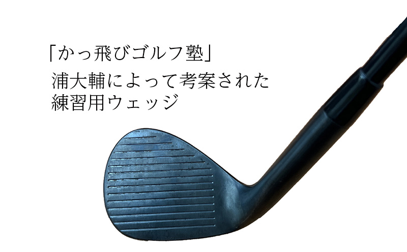 練習用ウェッジ　STUN GOLF The Wedge 浦大輔考案 Thewedge 練習用 ウェッジ ( ガンブルー ) ゴルフウェッジ かっ飛び