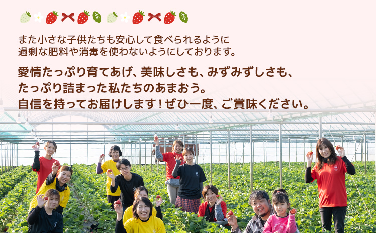 福岡県大木町のふるさと納税 ジャム用あまおう1kg ※2025年2月中旬～5月10日頃にかけて順次出荷予定 BD08