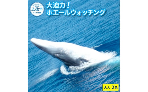 ymyszzG[EHb`O lQ 14000~N[| W[ ̌^ ANeBreB EHb`O ώ@ s ό V NW  ~ CJ D {[g yp C  R vw Jbv Ƒ FB
