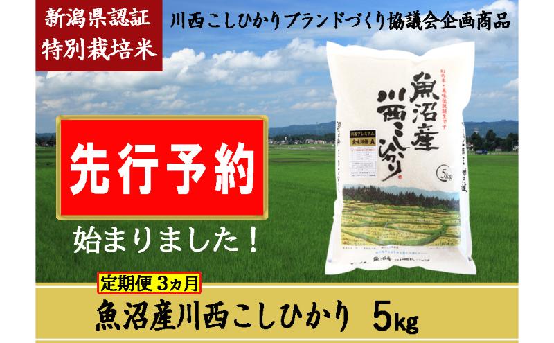 【先行予約】【定期便／3ヶ月】魚沼産川西こしひかり5kg 新潟県認証特別栽培米 令和6年度米＜令和6年10月上旬～発送予定＞