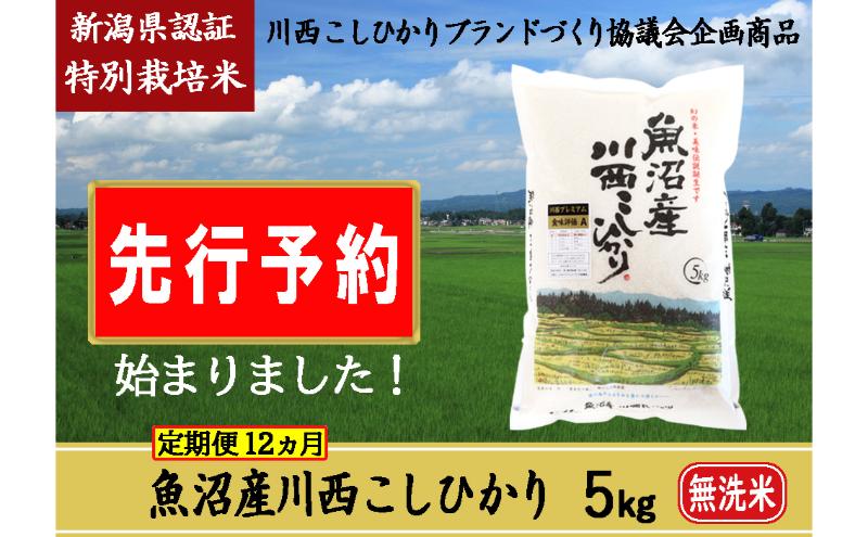 【先行予約】【定期便／12ヶ月】無洗米 魚沼産川西こしひかり5kg　新潟県認証特別栽培米 令和6年度米＜令和6年10月上旬～発送予定＞